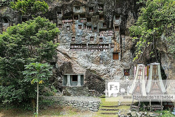 Felsengräber und Galerien von Tau Tau in der steilen Felswand der Grabstätte von Lemo in Tana Toraja auf Sulawesi. Die Tau Tau symbolisieren die Fortführung des Lebens des Verstorbenen im Jenseits