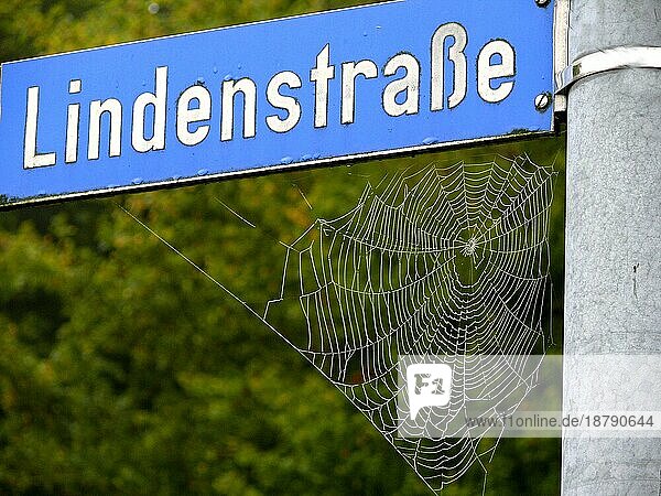 Spinnennetz mit Tau am Straßenschild  Lindenstraße