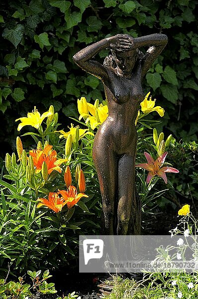 Lilien (Lilium) im Garten blühend  Gartenfigur : nackte Frau  Midcentury  Hybride