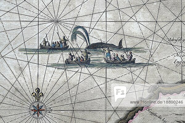 Atlas Maritimus  Wal und Waljäger  Jan Mayen  Detail Insulae Johannis Mayen nova descriptio  handkolorierter Kupferstich von J. Janssonius  1650 aus
