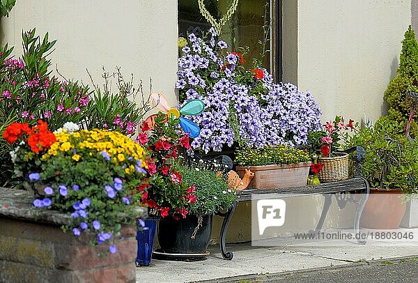 Baden-Württemberg  Schwarzwald verschiedene Sommerblumen am Haus  Petunien am Fenster außen
