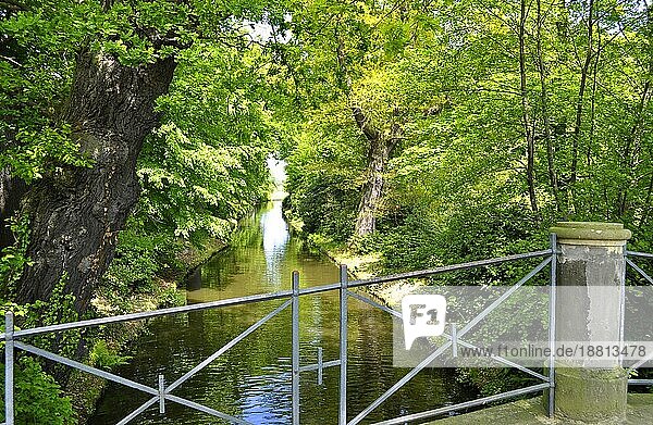 Weltkulturerbe: Wörlitzer Park  Kanal