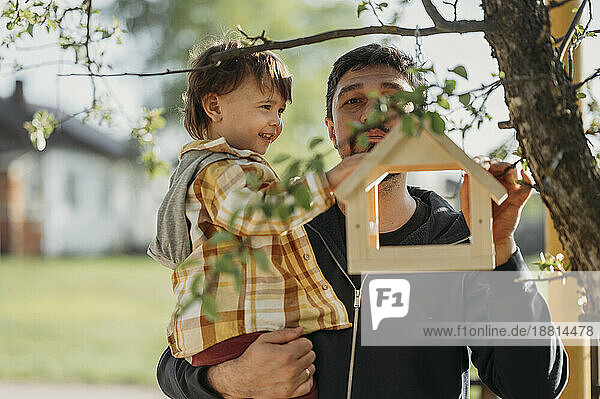 Vater und Sohn hängen Vogelhaus an Baum