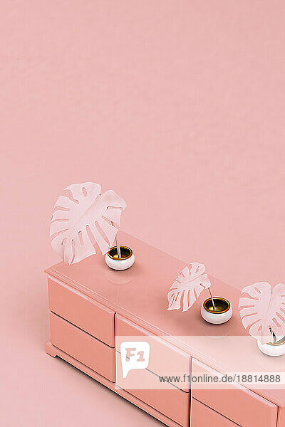 3D render of pink monstera plants standing on pink cabinet