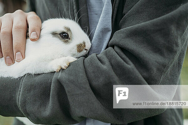 Mann trägt süßes weißes Kaninchen