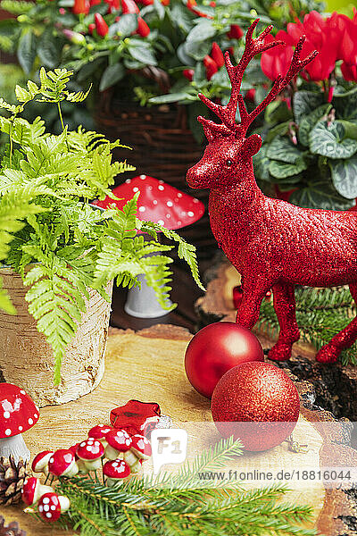 Christmas decorations  winter plants  deer figurine and wooden coaster