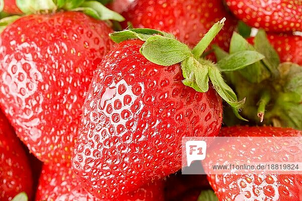 Frische und leckere Erdbeeren