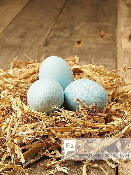 Mit natürlichen Farbstoffen selbst gefärbte Bio Eier im Strohnest  Urlaubs oder Gesundkostkonzept