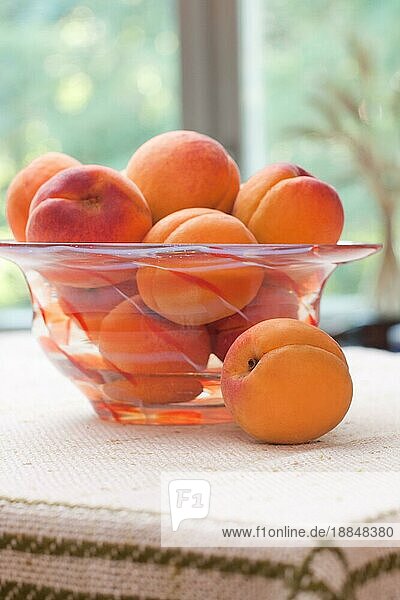 Schale mit frischen und süßen Aprikosen