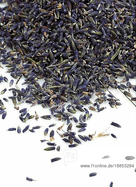 Lavendel (lavandula) Trockene Samen