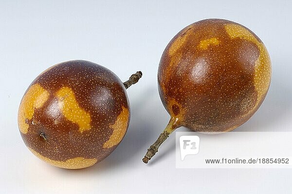 Süße (Passiflora ligularis) Granadillafrüchte