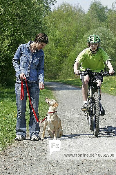 Frau mit Mischlingshund an der Leine und Radfahrer  angeleint