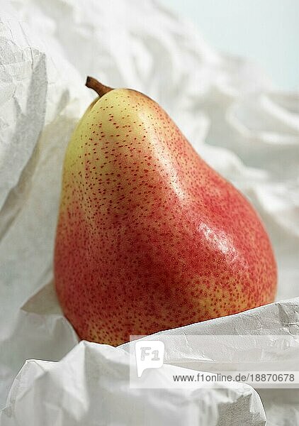 Kultur-Birne (pyrus communis)  frische Früchte