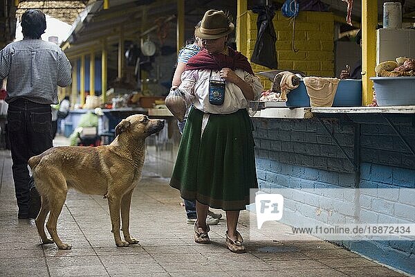 Straßenhund bettelt um Futter  Frau an Straßenrestaurant  Otavalo  Provinz Imbabura  Ekuador