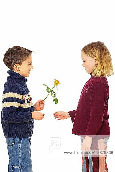 Junge überreicht Mädchen eine Rose  überreicht  überreichen  geben  schenken  schenkt  gibt