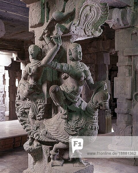 Göttinnenstatue im Kunstmuseum 1000 Säulenhalle im Meenakshi Amman Tempel aus dem Jahr 1623 55  Madurai  Tamil Nadu  Indien  Asien