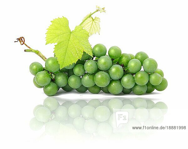 Frische Weintraubenfrüchte mit grünen Blättern vor weißem Hintergrund