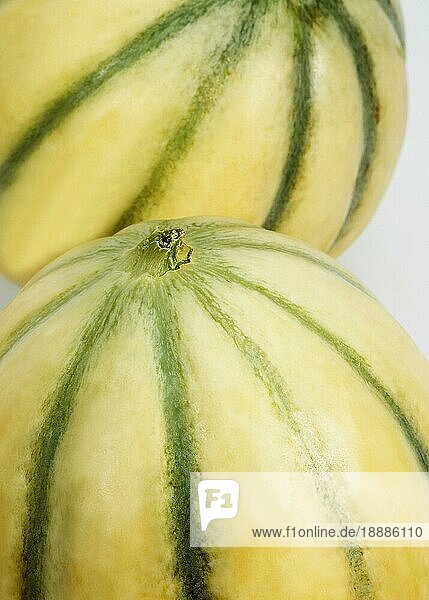Cavaillon Melone (cucumis melo)  Früchte auf weißem Hintergrund