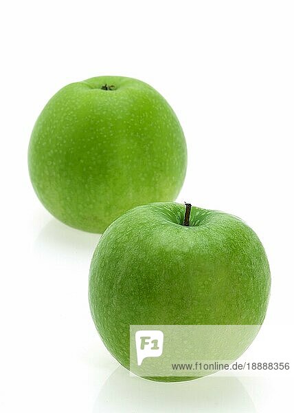 Malus domestica  Kulturapfel (Malus domestica)  Apfel  Äpfel  Freisteller