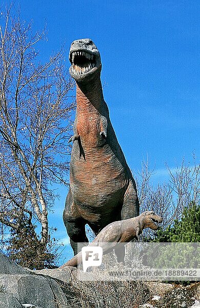Tyrannosaurus  Tyrannosaurus rex