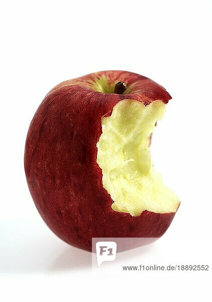 Malus domestica  Kulturapfel (Malus domestica)  Apfel  Äpfel  angebissen