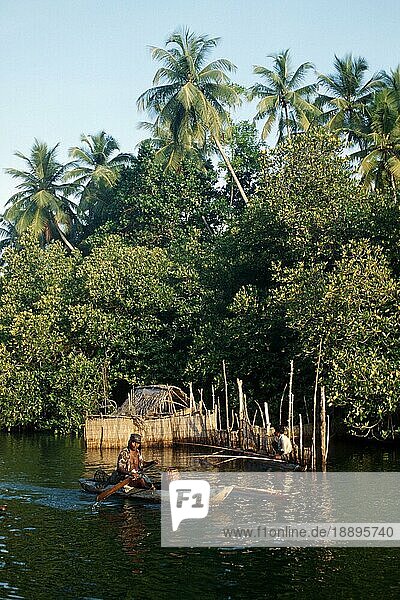 Mann mit Ruderboot  Blue Lagoon  Sri Lanka  Asien