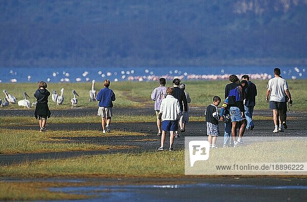 Touristen am Nakuru-See in Kenia