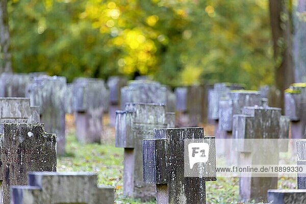 Friedhof im Herbst  Soldatengräber  Waldfriedhof Stuttgart  Baden-Württemberg  Deutschland  Europa
