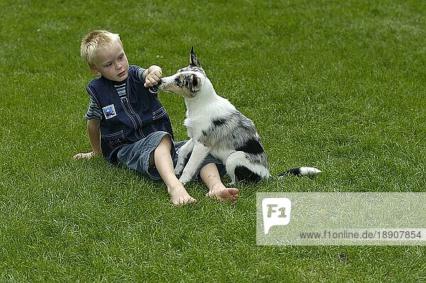 Junge spielt mit Mischlingshund  Welpe