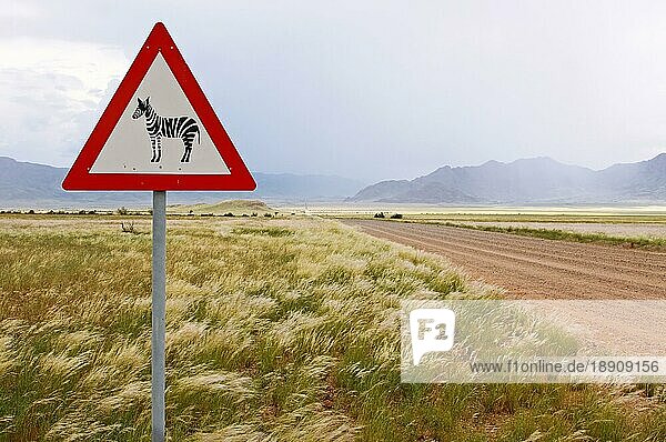Warnschild Zebrawildwechsel in Namibia  signpost at a street in Namibia