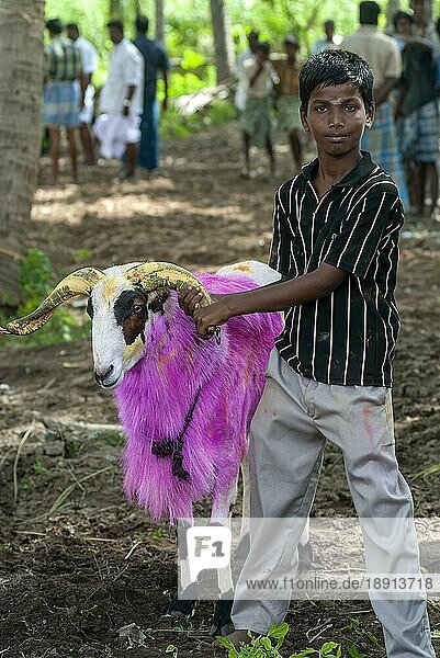Ein Junge mit Ziege wartet auf kidaai Muttu Ziegenkampf in der Nähe von Madurai  Tamil Nadu  Südindien  Indien  Asien