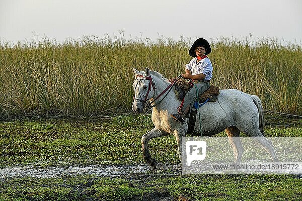 Junger Gaucho auf seinem Pferd  Puesto Mingo  Esteros del Iberá  bei Concepción del Yaguareté Corá  Provinz Corrientes  Argentinien  Südamerika