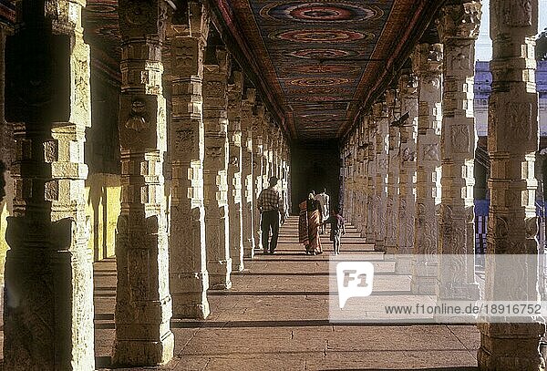 Korridor um den goldenen Lotustank im Meenakshi-Tempel  Madurai  Tamil Nadu  Südindien  Indien  Asien
