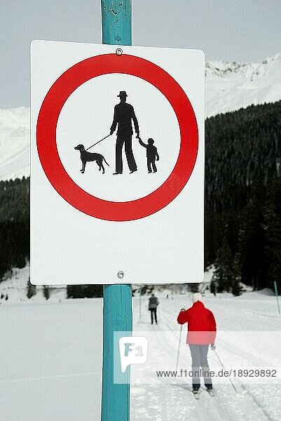 Verbotsschild 'Keine Fussgänger und Hunde'  Loipe  an Langlaufloipe  Lenzerheide  Graubünden  Schweiz  Europa