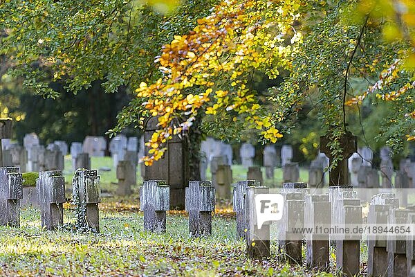 Friedhof im Herbst  Soldatengräber  Waldfriedhof Stuttgart  Baden-Württemberg  Deutschland  Europa