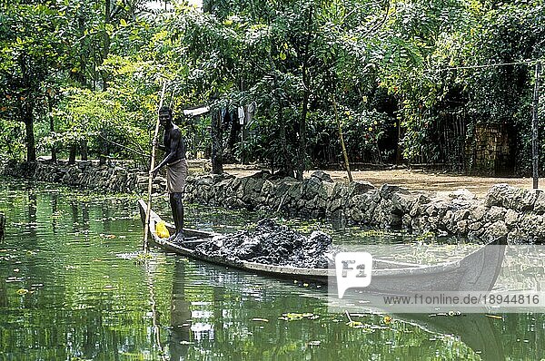 Ein Mann transportiert Sandton auf einem Boot  Backwaters of Kerala  Südindien  Indien  Asien