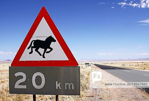 Hinweisschild auf die Wildpferde von Aus  Namibia  signpost for the wild horses of Aus  Namibia  Afrika