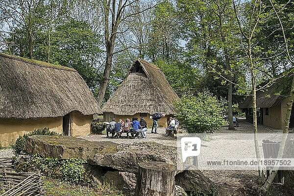 Rekonstruierte protohistorische Siedlung mit Häusern aus der Bronze und Eisenzeit im Freilichtmuseum von Aubechies Beloeil  Hennegau  Belgien  Europa