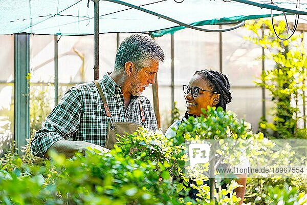 Gärtnermeister unterrichtet Gärtnereischülerin  die Pflanzen im Gewächshaus kontrolliert