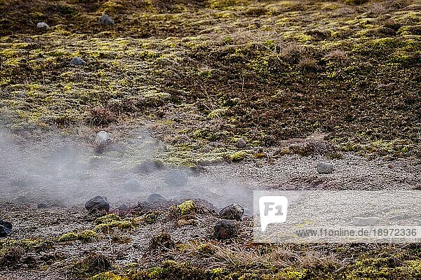 Dichter Rauch auf einem Lavafeld in Island