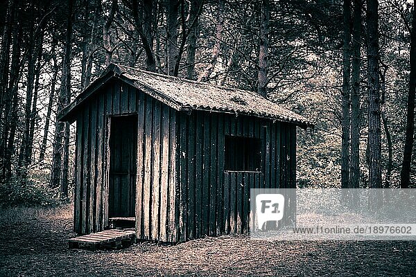 Gespenstische Hütte in einem dunklen und geheimnisvollen Wald