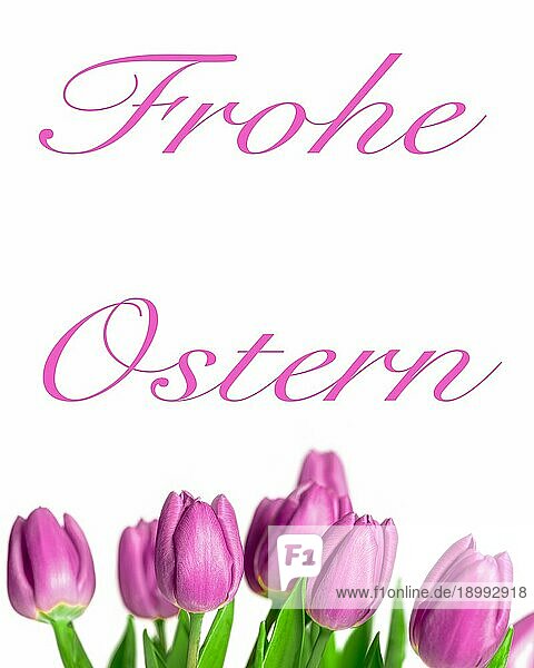 Border von schönen frischen lila Frühling Tulpen am unteren Rand eines vertikalen Rahmens auf einem weißen Hintergrund mit einem glücklichen Ostern Nachricht in deutscher Sprache