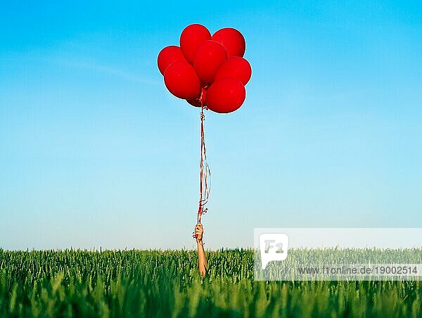Hand hält rote Luftballons im Sommer grünes Feld auf blauem Himmel Hintergrund