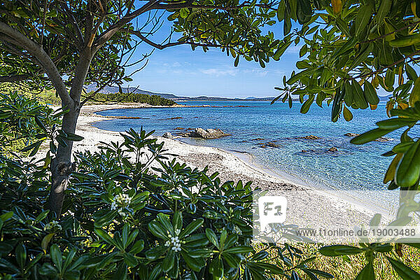 View of Spiaggia Cala d'Ambra beach  San Teodoro  Sardinia  Italy  Mediterranean  Europe