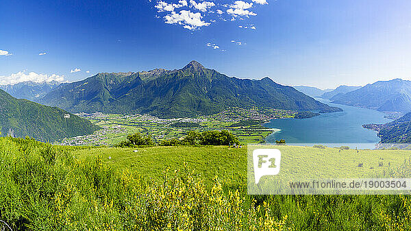 Panoramic of Monte Legnone and Alto Lario from flowering meadows above Lake Como  Bugiallo  Como province  Lombardy  Italian Lakes  Italy  Europe