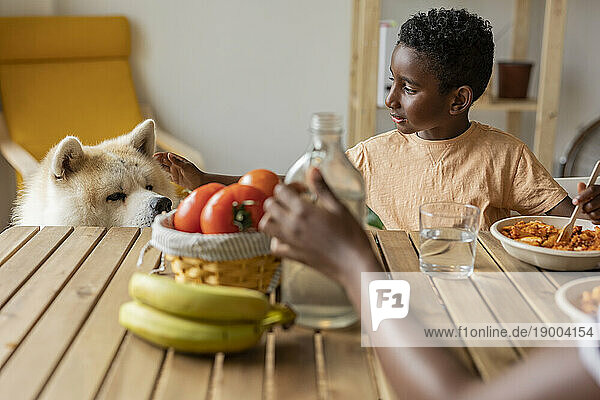 Boy having meal and stroking dog at home