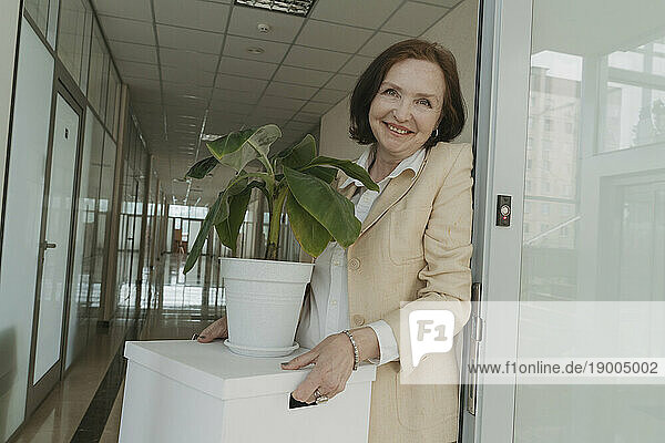 Smiling senior businesswoman holding box with potted plant in corridor at office
