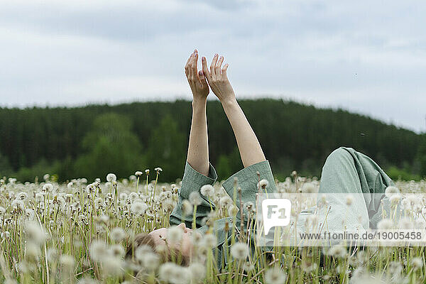 Woman with arms raised lying on dandelion field