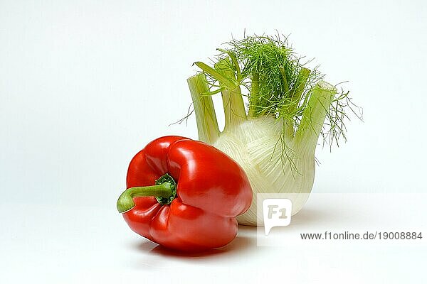 Frisches Gemüse  Fenchel  rote Paprika