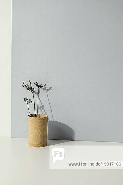 Abstrakte minimale Pflanze Vase Kopie Raum. Auflösung und hohe Qualität schönes Foto